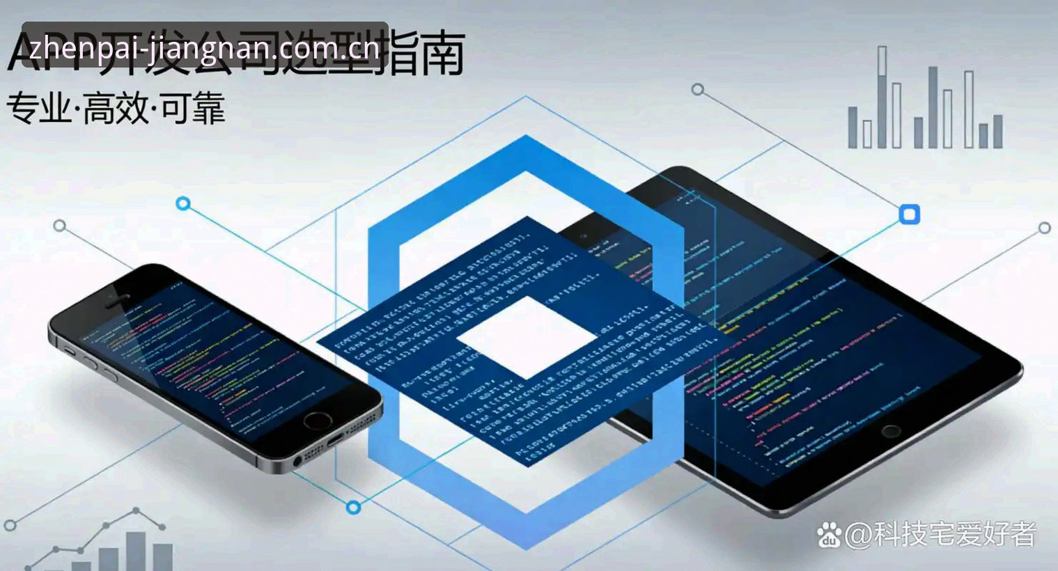 习惯用正版的人从不吭声APP完成2026版本更新 官方注册通道同步开放
